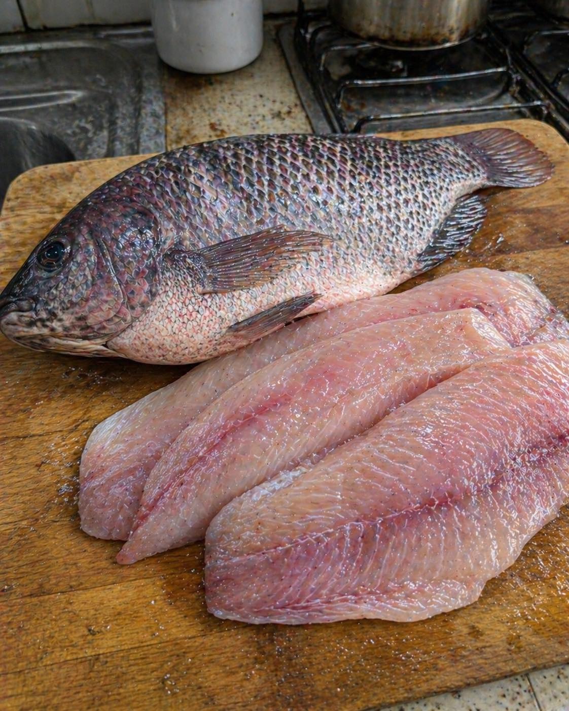Esperti di salute rivelano: la tilapia può causare…
